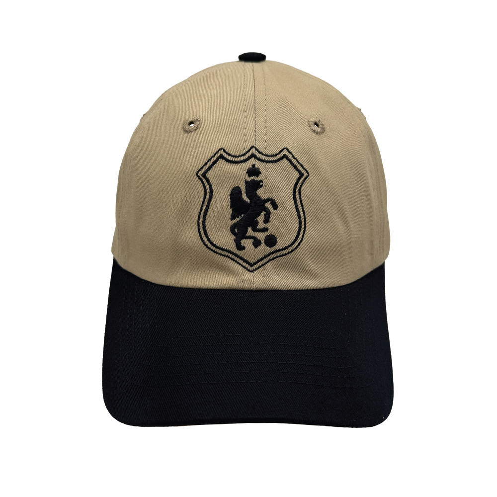 
                  
                    TNDFC Badge Dad Hat
                  
                